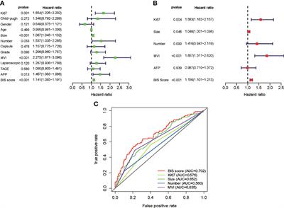 A Novel Blood Index-Based Model to Predict Hepatitis B Virus-Associated Hepatocellular Carcinoma Recurrence After Curative Hepatectomy: Guidance on Adjuvant Transcatheter Arterial Chemoembolization Choice